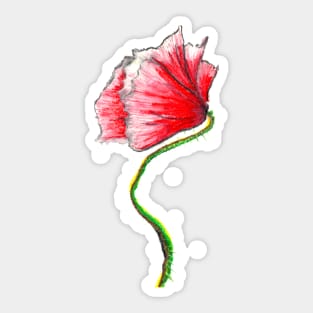 Shy - Flower Feelings Sticker